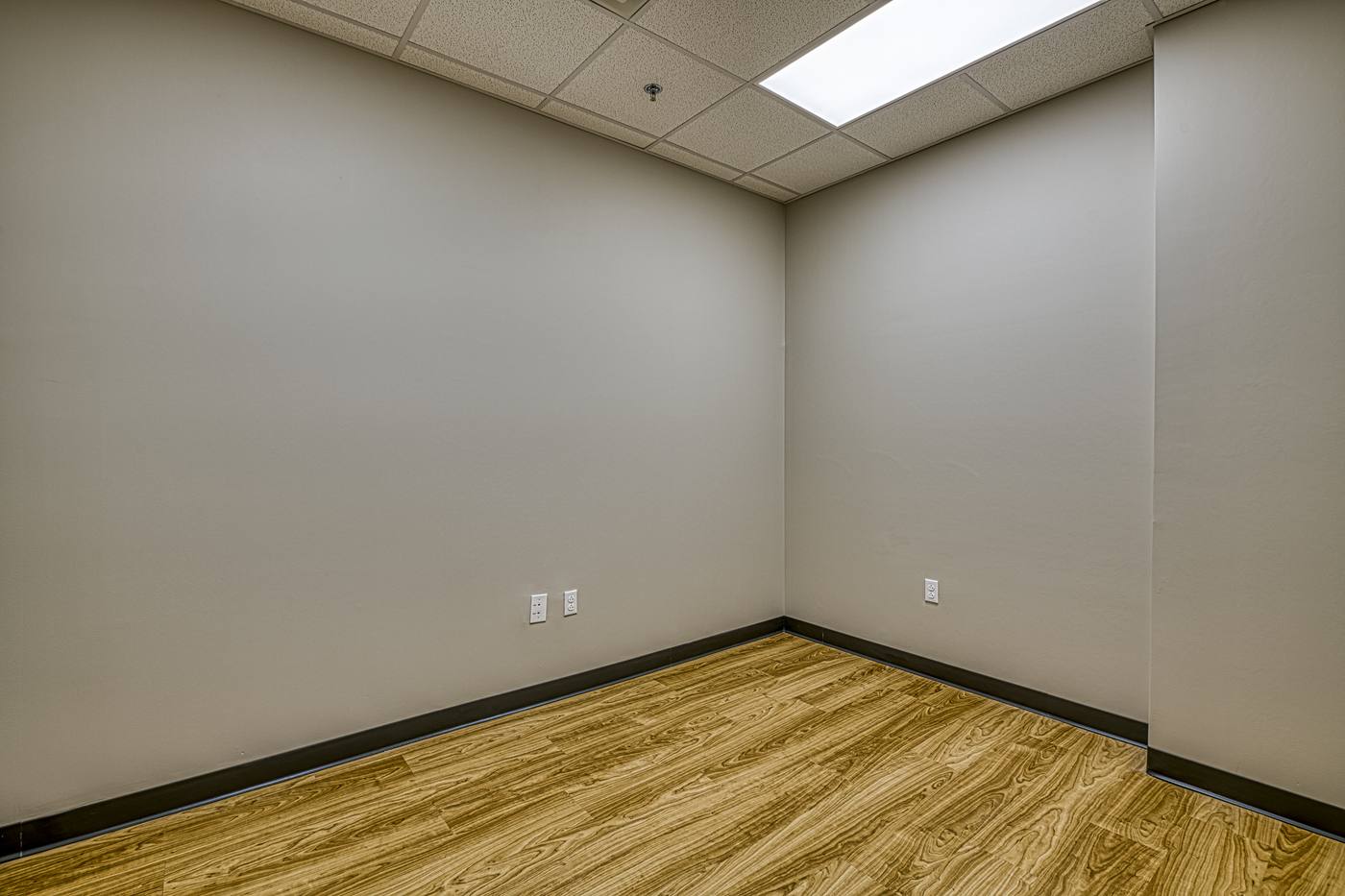 Medical WPP Other Spaces photograph by Shail Construction in Raleigh NC