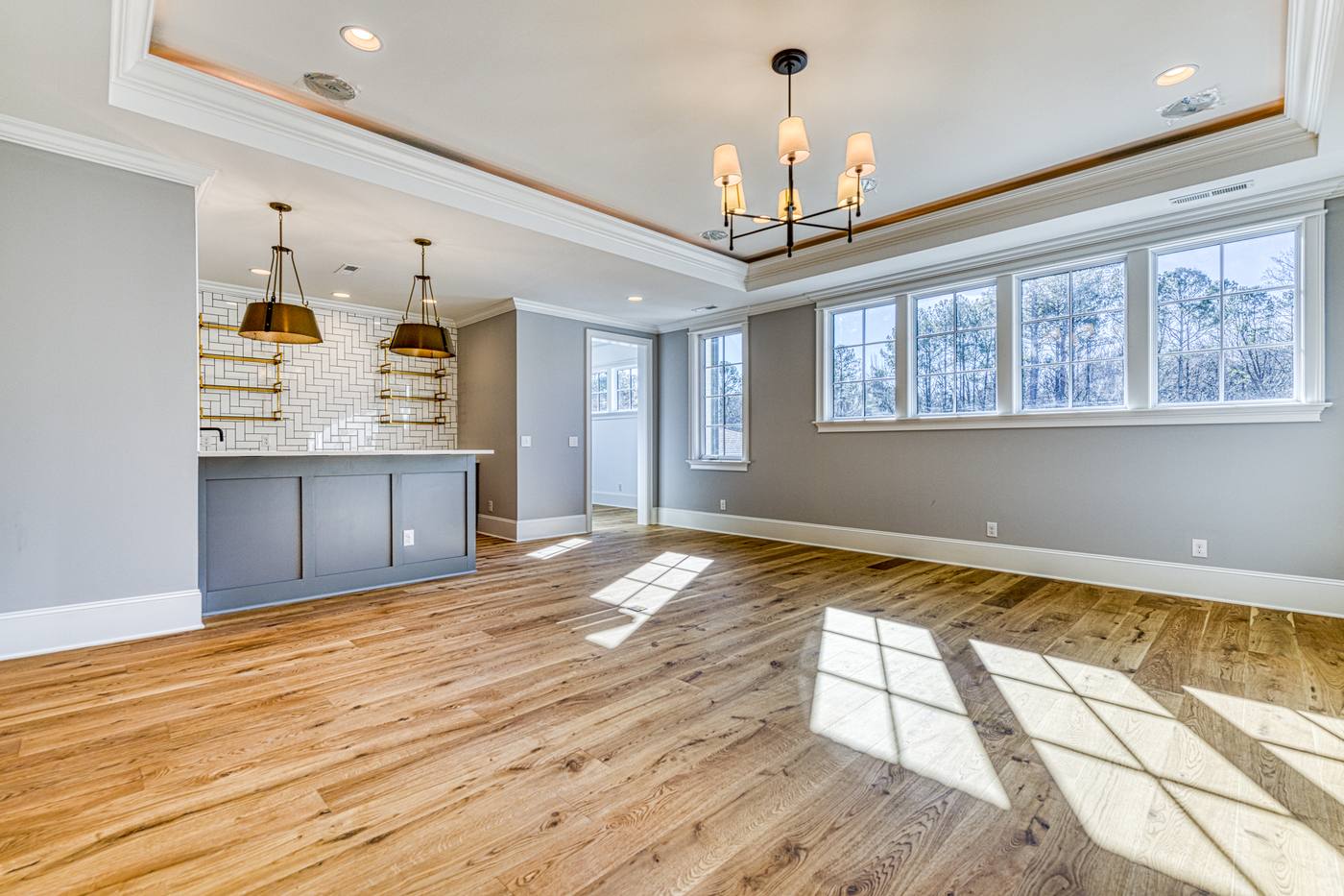 Lot 10 Bella Terra Home Theater photograph by Shail Construction in Raleigh NC