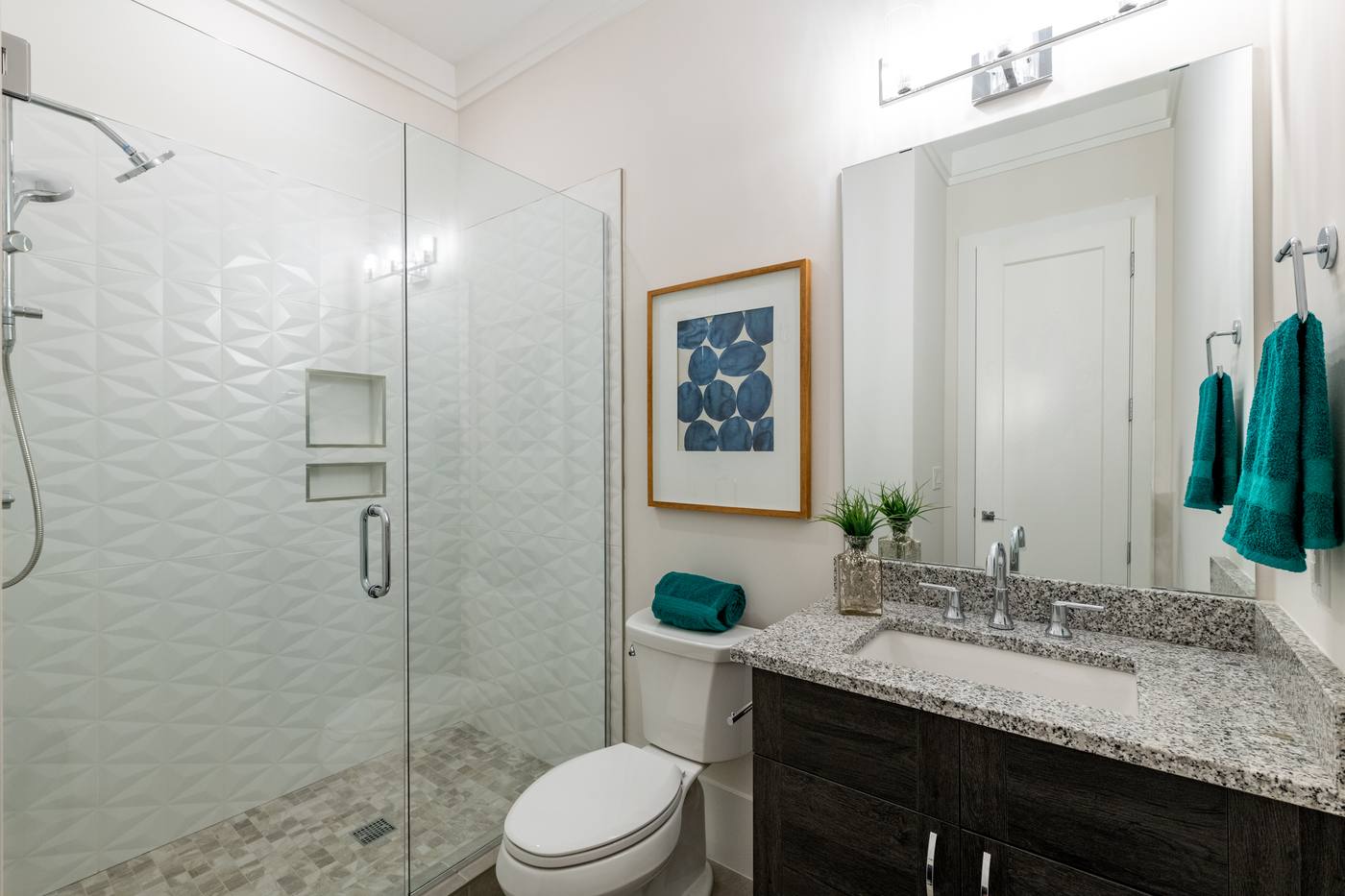 Lot 42 Bella Vista Other Spaces photograph by Shail Construction in Raleigh NC
