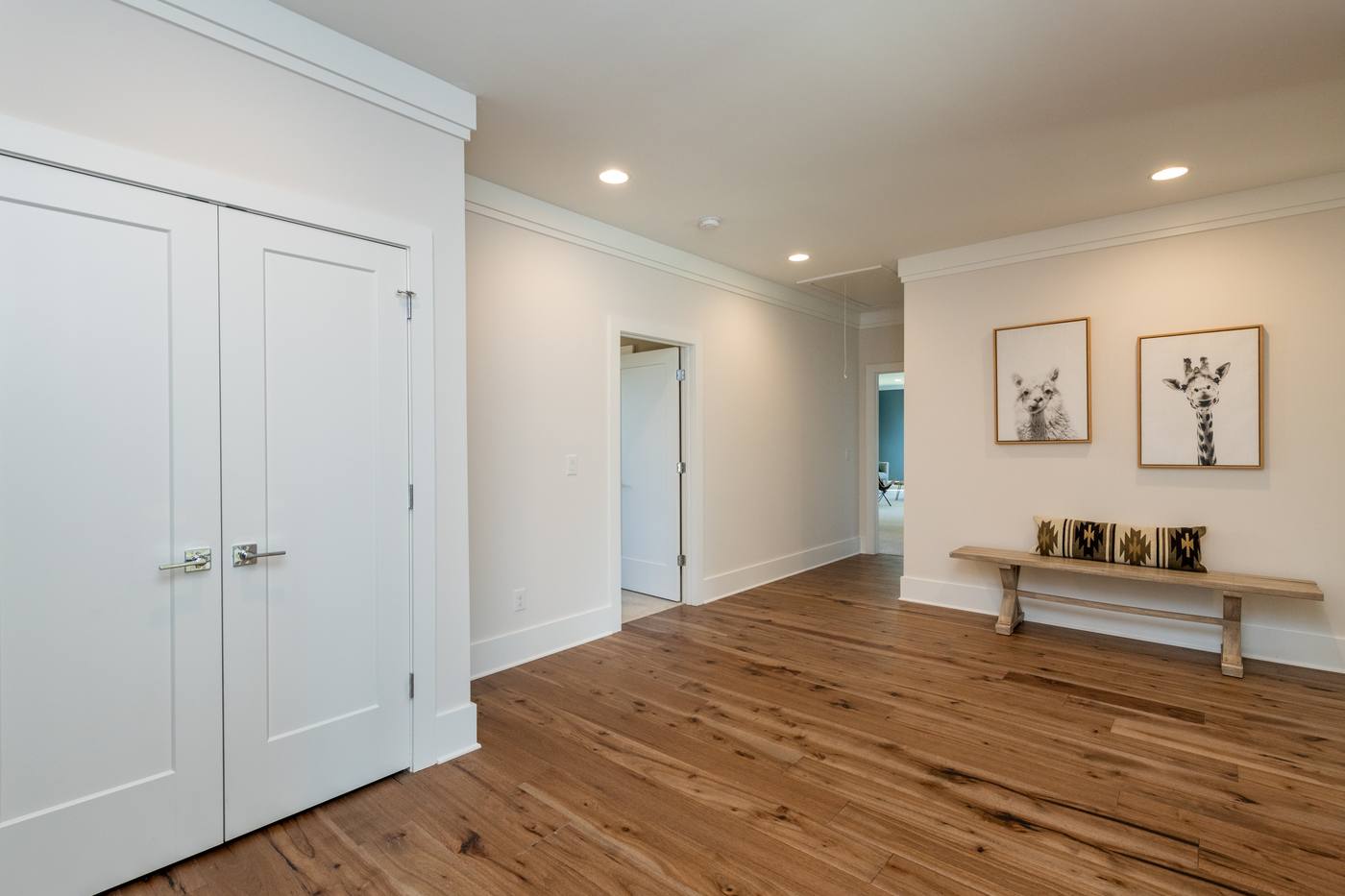 Lot 42 Bella Vista Other Spaces photograph by Shail Construction in Raleigh NC