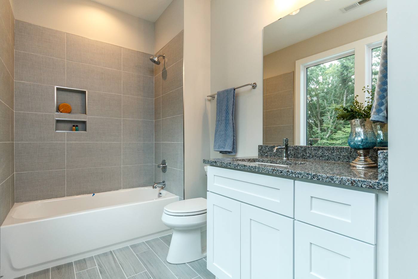Lot 43 Bella Vista Other Spaces photograph by Shail Construction in Raleigh NC