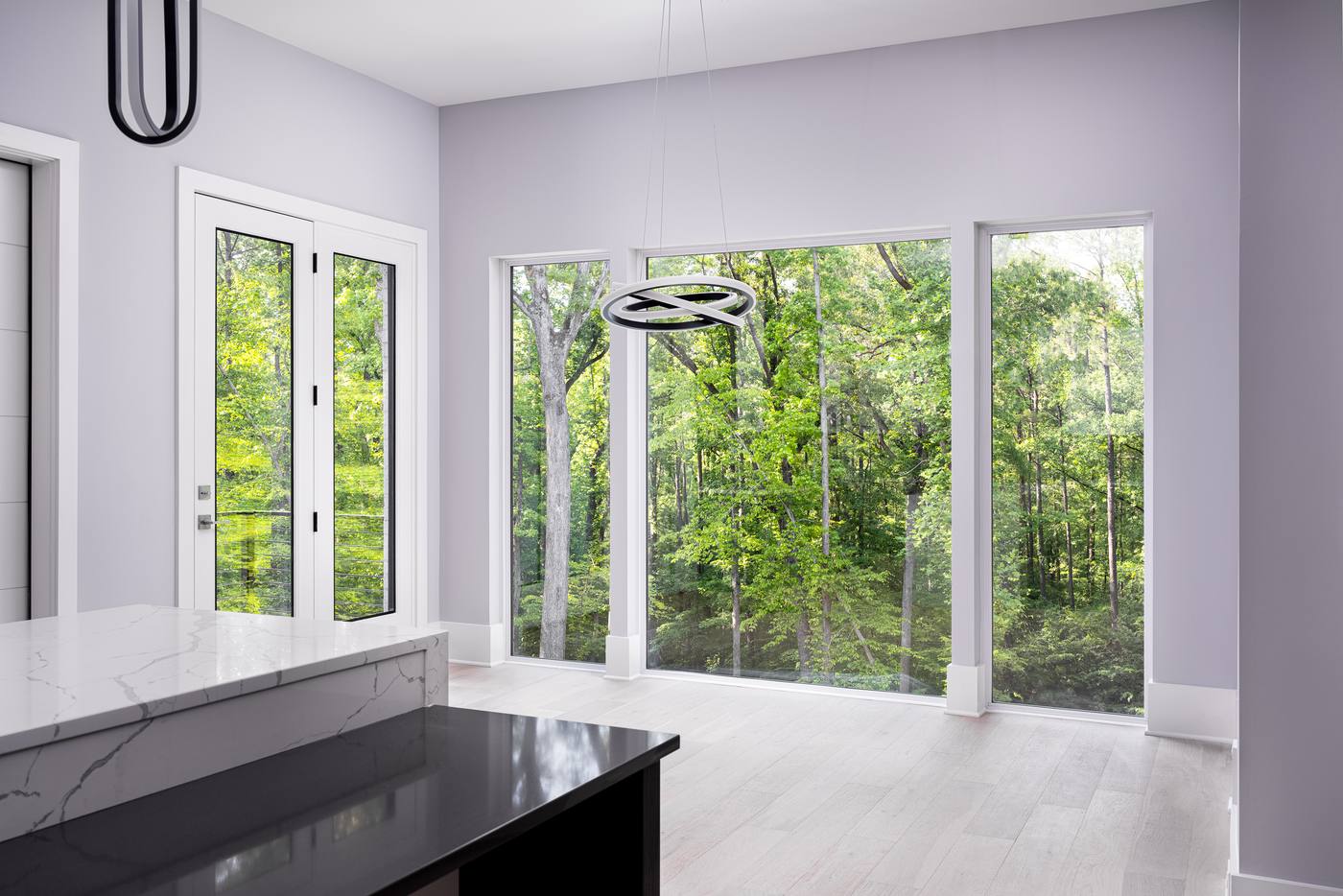 Lot 45 Bella Vista Other Spaces photograph by Shail Construction in Raleigh NC