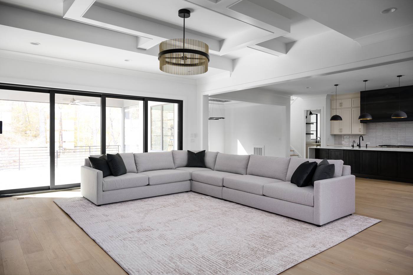 Lot 48 Bella Vista Other Spaces photograph by Shail Construction in Raleigh NC